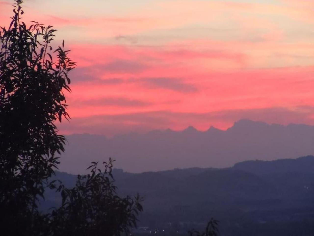 Apartmán La Barberina Ozzano Monferrato Exteriér fotografie
